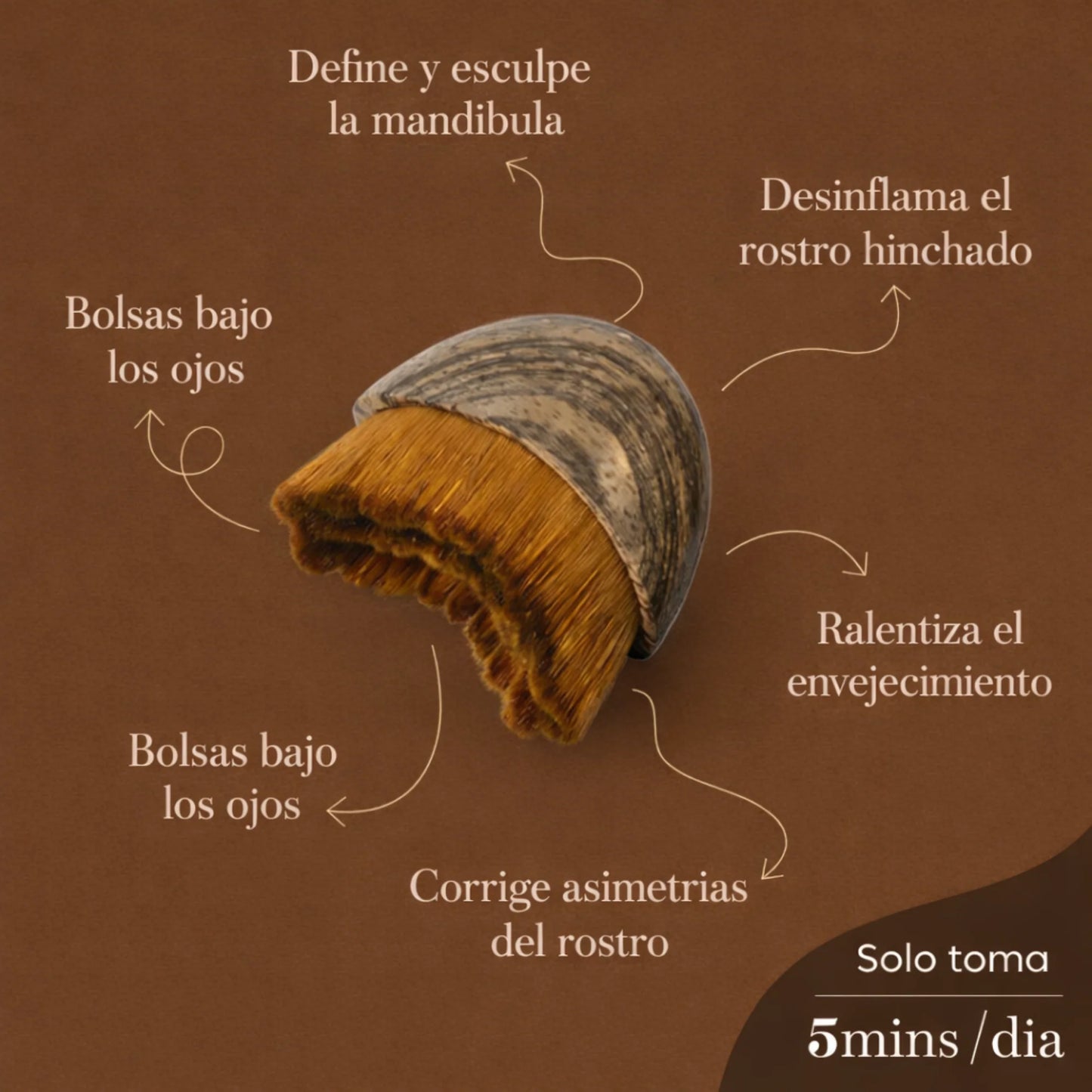 CEPILLO FACIAL PROFESIONAL DE DRENAJE