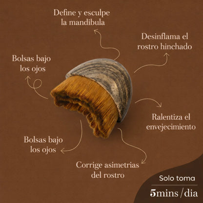 CEPILLO FACIAL PROFESIONAL DE DRENAJE